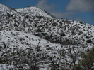 photo thumbnail #5