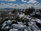 photo thumbnail #12