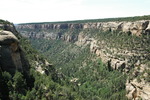photo thumbnail #12