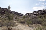 photo thumbnail #1