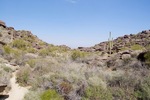 photo thumbnail #3