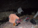 photo thumbnail #2