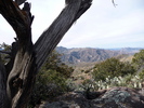 photo thumbnail #7