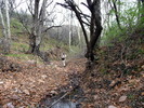 photo thumbnail #10