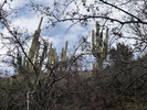 photo thumbnail #12