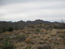 photo thumbnail #1