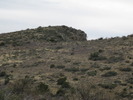 photo thumbnail #10