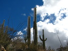 photo thumbnail #4