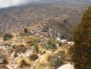 photo thumbnail #11