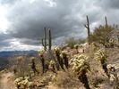 photo thumbnail #12