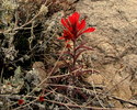 photo thumbnail #2