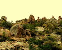 photo thumbnail #4