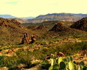 photo thumbnail #12