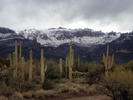 photo thumbnail #12