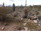 photo thumbnail #4