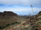 photo thumbnail #9
