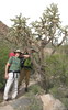 photo thumbnail #2
