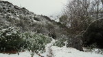 photo thumbnail #12