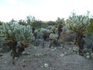 photo thumbnail #10