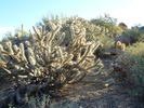 photo thumbnail #11