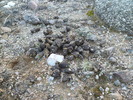 photo thumbnail #13