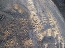 photo thumbnail #14