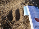 photo thumbnail #15
