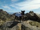 photo thumbnail #1