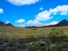 photo thumbnail #2