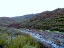 photo thumbnail #13