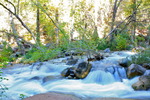 photo thumbnail #1