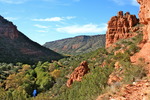 photo thumbnail #15