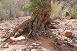 photo thumbnail #6