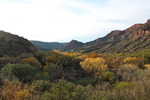 photo thumbnail #12