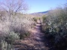photo thumbnail #1