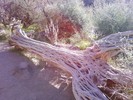 photo thumbnail #2