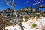 photo thumbnail #5