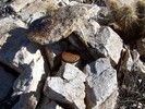 photo thumbnail #7