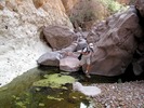 photo thumbnail #11