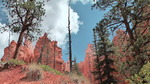 photo thumbnail #10