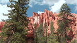 photo thumbnail #11