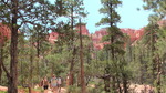 photo thumbnail #12