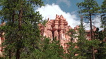 photo thumbnail #14