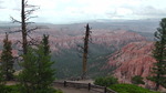 photo thumbnail #11