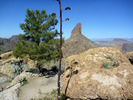 photo thumbnail #2