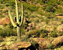 photo thumbnail #6