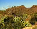 photo thumbnail #13