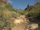 photo thumbnail #6