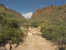 photo thumbnail #8