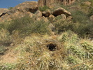 photo thumbnail #9